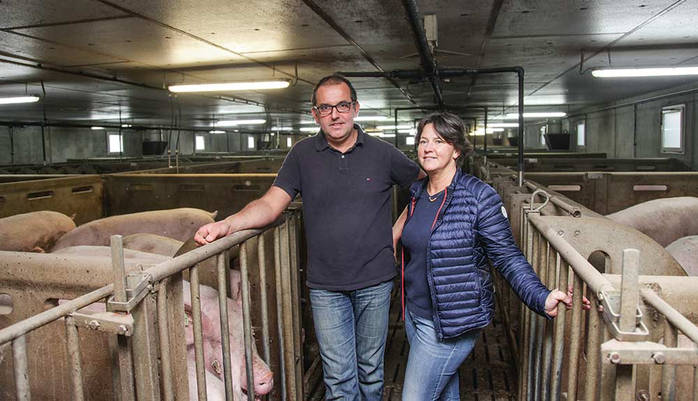 gilles-laurence-plouzennec-elevage-truie-porc-alimentation-gestation-organisation-genetique-triskalia - Illustration Plus de productivité grâce à un plan d’actions efficace
