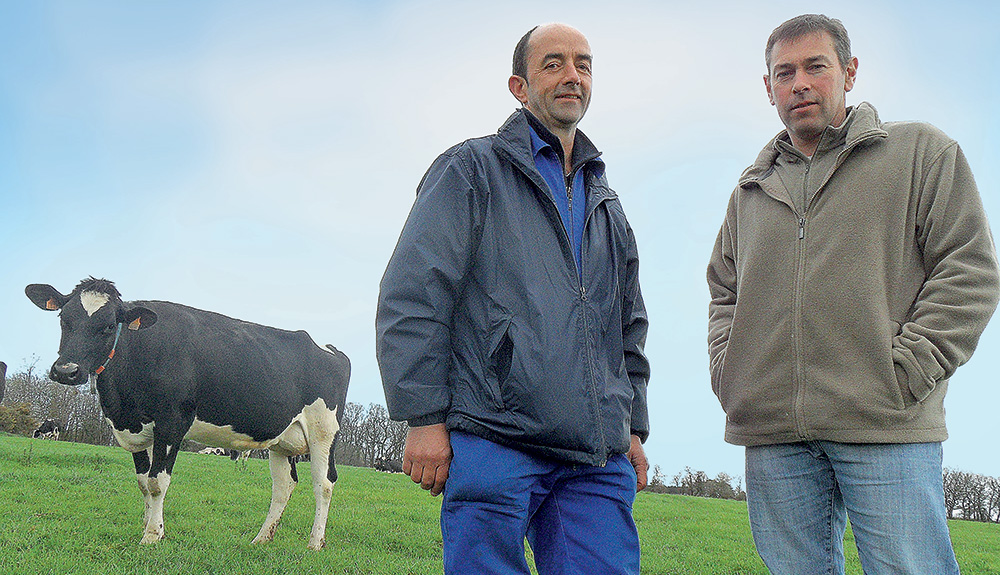 jean-michel-philippe-pascal-gaubert-vache-laitiere-ensilage-mais-paturage-herbe-alimentation-condition-travail-traite-fourrage - Illustration Réflexion printanière