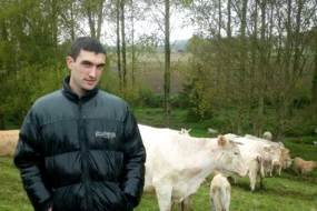 jerome-oizel-paturage-herbe-vache-allaitante-foeil