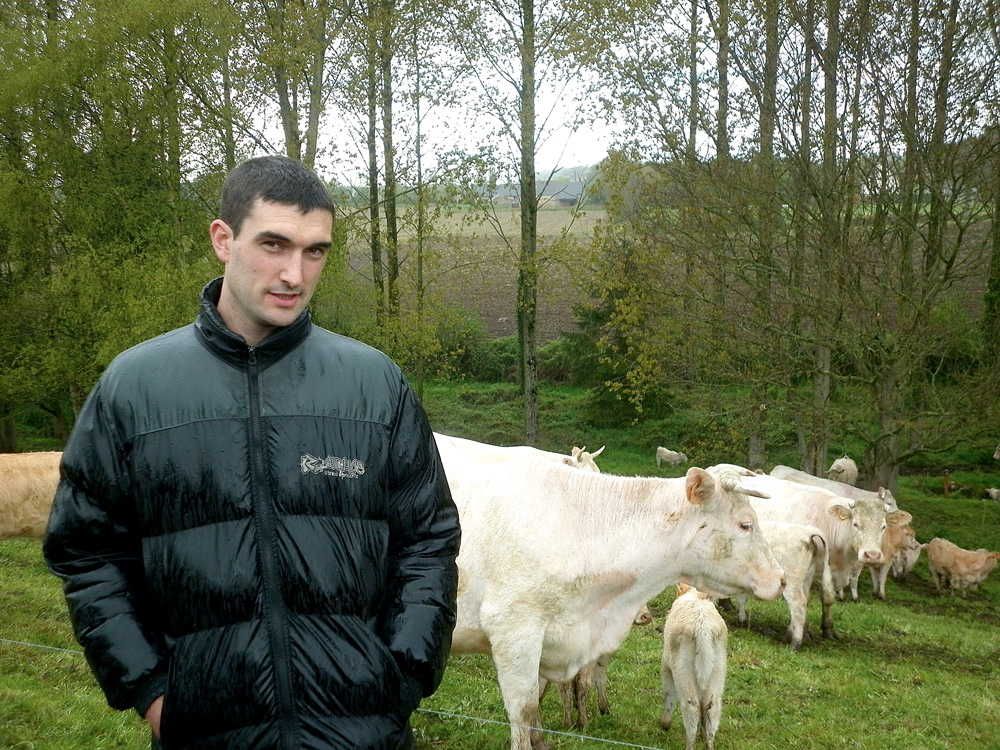jerome-oizel-paturage-herbe-vache-allaitante-foeil - Illustration Un bon début de saison