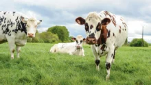 lait-bio-prix-bassin-versant-aide