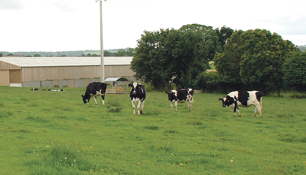 lait-cooperative-agricole-union-europeenne-copa-cogeca - Illustration Demande d’allègement pour le système de super-prélèvement