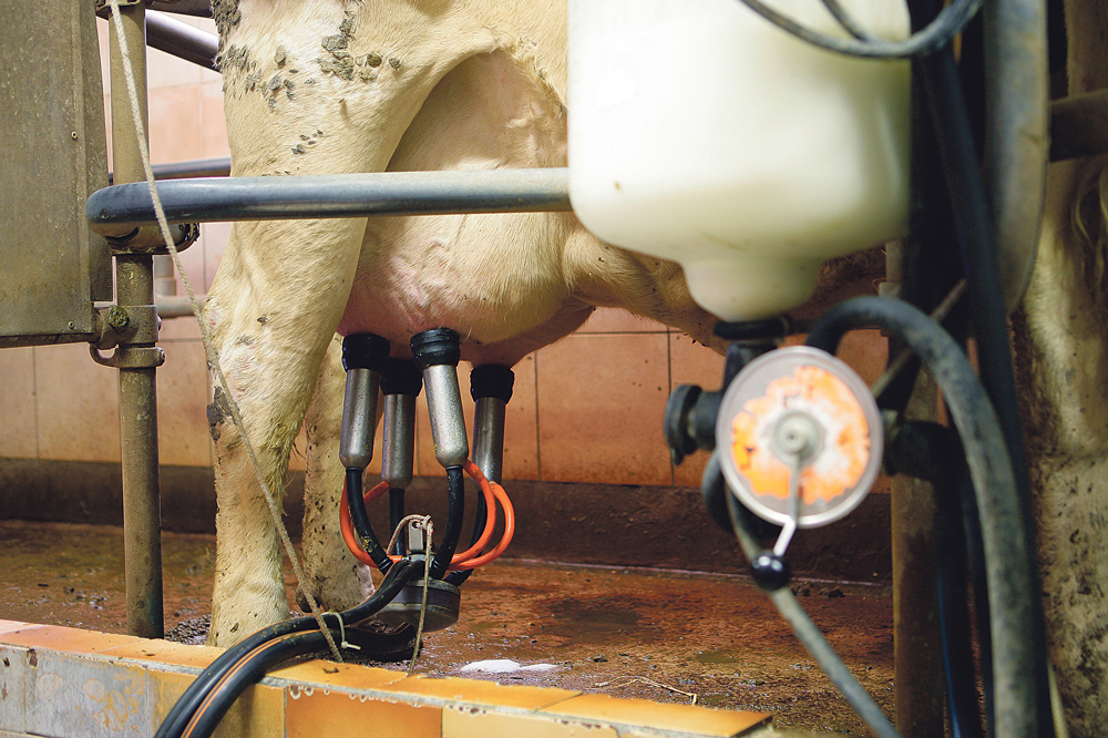 Photo of Détérioration de la rentabilité des industries laitières bretonne en 2015
