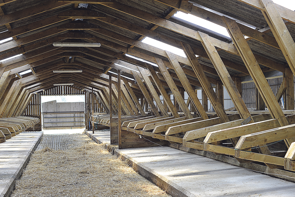 logette-bois-paddock-herbager-sebastien-jegou-saint-martin-des-pres - Illustration Logettes bois, paddocks et fil avant