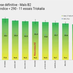 Synthèse définitive - Maïs B2