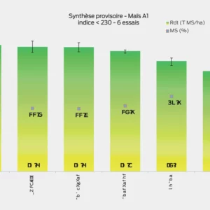 Synthèse provisoire - Maïs A1