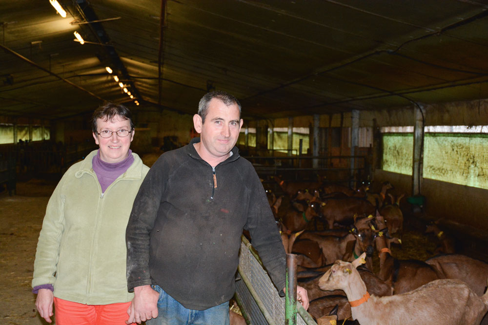 nathalie-dominique-etienne-canard-chevre-batiment-luzerne-alimentation - Illustration Les chèvres ont remplacé les canards