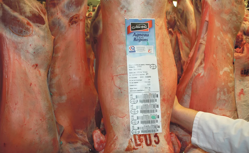 ovin-agneau-gras-limiter-abattoir-declassement - Illustration Combattre des teneurs en gras élevées