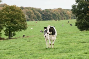 prim-holstein-res-agri-assemblee-environnement-gaz-effet-serre