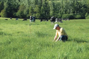 systeme-herbager-economique-zone-seche-bernard-racape