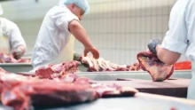 coproduit-viande-porc-poulet-bovin-environnement-dechet-production-biogaz-prix-lait-oeuf-poisson