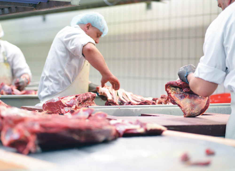 coproduit-viande-porc-poulet-bovin-environnement-dechet-production-biogaz-prix-lait-oeuf-poisson - Illustration Les os et la peau valent de l’or
