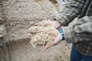 Le maïs épi affiche une valeur alimentaire de 1,08 UFL/kg de MS, avec un PDIN de 61