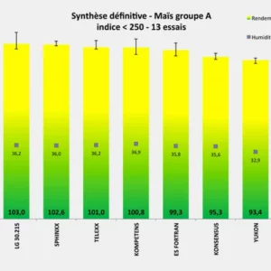 Synthèse définitive - Maïs groupe A