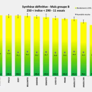 Synthèse définitive - Maïs groupe B