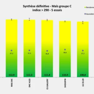 Synthèse définitive - Maïs groupe C