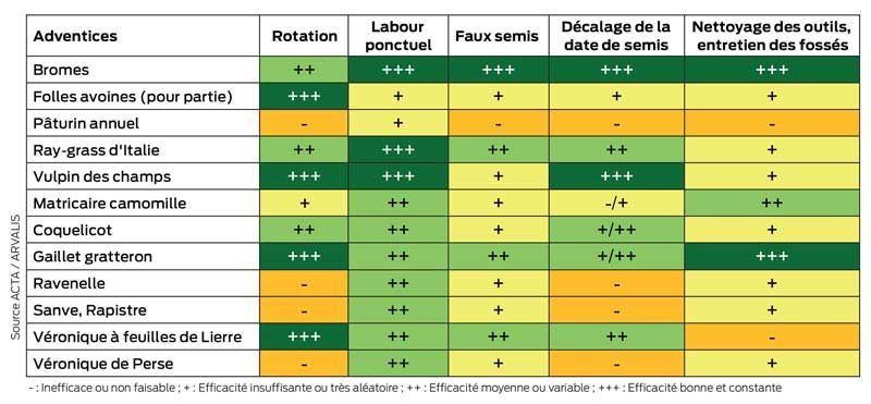  Impact de différentes techniques culturales sur les adventices