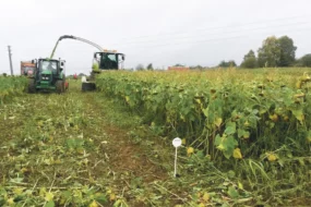 methanisation-energie-renouvelable-production-biogaz-agricole-couvert-vegetaux