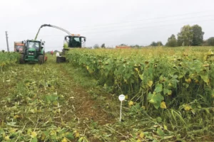 methanisation-energie-renouvelable-production-biogaz-agricole-couvert-vegetaux