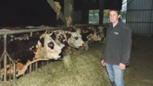 pierre-queniat-vache-laitiere-lait-alimentation-bio-mais-herbe-production-conversion