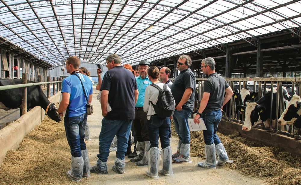 production-lait-cooperative-even-quotas-elevage-prix-marche-agricole - Illustration L’herbe est-elle plus verte dans les prés de nos voisins européens ?