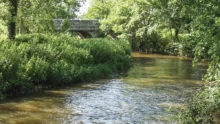 riviere-eau-ecologie-environnement-revenu-agricole-culture