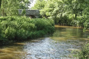 riviere-eau-ecologie-environnement-revenu-agricole-culture