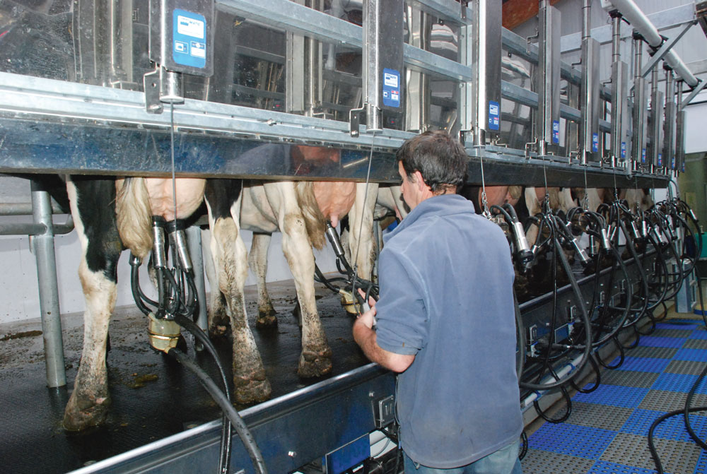 Les éleveurs se sont rapidement appropriés l’outil - Illustration Prime d’activité : le signal d’une profonde crise agricole