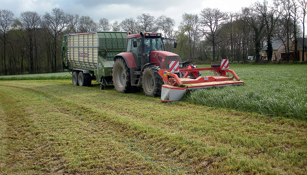 affouragement-vert-semis-culture-fourrage-moisson-production - Illustration Dérobées fourragères, un bonus pour les éleveurs