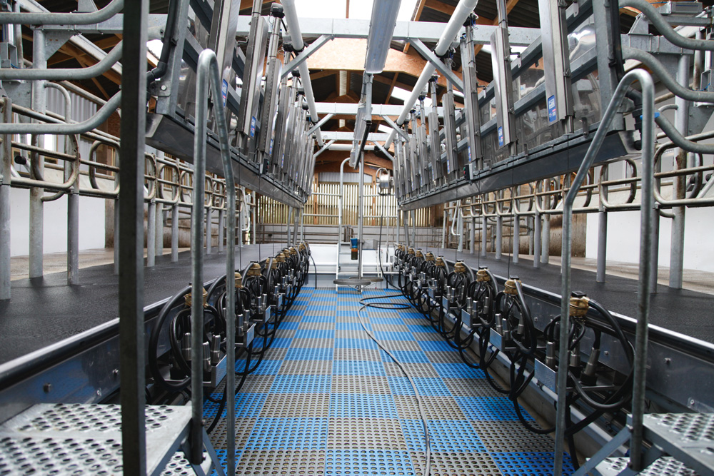 batiment-salle-traite-vache-laitiere-lait-investissement - Illustration Un revêtement robuste pour des espaces lumineux