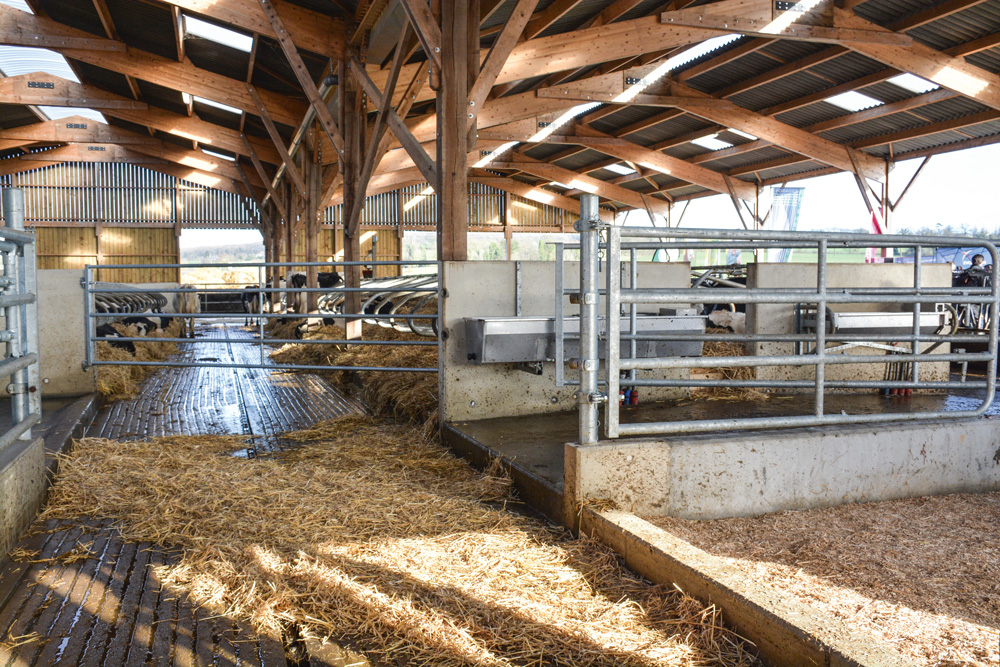 batiment-vache-laitiere-lait-prim-holstein-traite-logette-fumier-engrais - Illustration L’entrée agronomique privilégiée