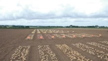 bretagne-captage-pomme-de-terre-qualite-production