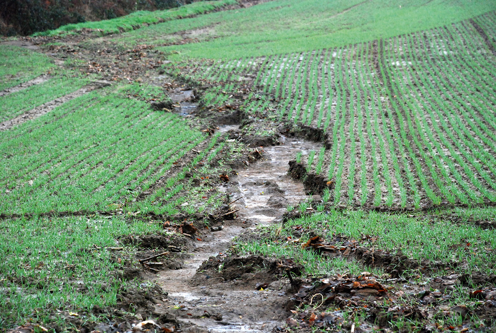 climat-environnement-eau-infiltration-sol-source-nappe - Illustration Le chemin de l’eau dans le sol