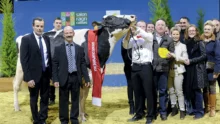 concours-bovin-prim-holstein-salon-paris-2014