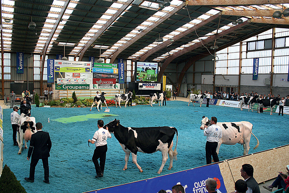 concours-nationnal-prim-holstein-2014-lait-aumaillerie-fougere-eleveur - Illustration Ce sera plus qu’un National