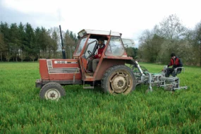 desherbage-mecanique-bineuse-cereale-mais-feverole-culture-agrobiologie