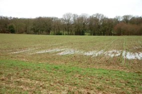 engorgement-sol-eau-parcelle-stade-tallage-cereale-climat