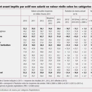 Résultat courant avant impôts par actifs non salarié en valeur réelle selon les catégories d'exploitations