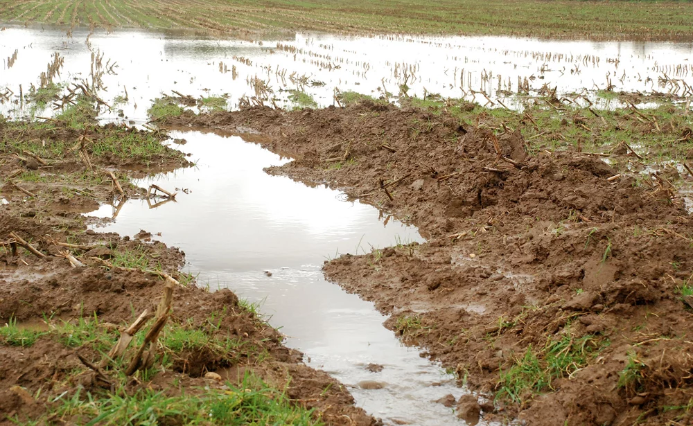 pluie-climat-intemperie-azote-culture - Illustration Contrat-socle : les critères ouvrant droit à subvention fixés jusqu’à 2020