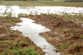 pluie-climat-intemperie-azote-culture