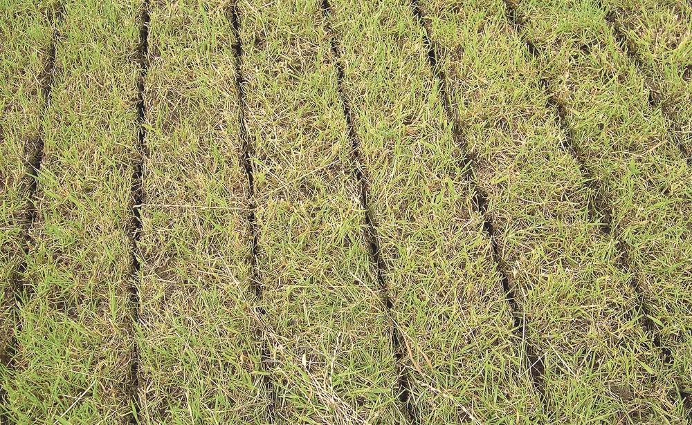 produit-organique-fertilisation-engrais-fumier-azote-prairie-amendant-volatilisation-lisier - Illustration Du lisier sur prairie