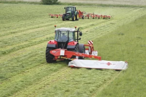 souffre-prairie-couvert-vegetal-trefle-fauchage-gramine-legumineuse