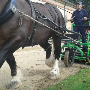 Sans prise de force, la Stabnet s'adapte aussi au cheval