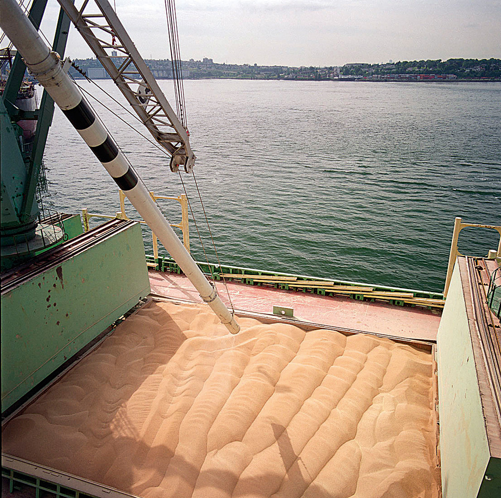transport-maritine-export-matiere-premiere-logistique - Illustration Logistique, quand tu nous tiens !