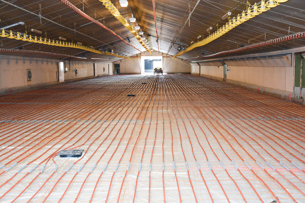 volaille-poulailler-aviculture-installation-equipement-chauffage-energie-securite-litiere-plancher-chauffant - Illustration Des tuyaux dans le béton pour un autre mode de chauffage