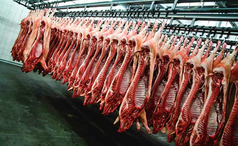 abattoir-viande-porc-embargo-russe-europe-commission-europeenne - Illustration Abattoirs : expérimentations de contrôle vidéo en 2017