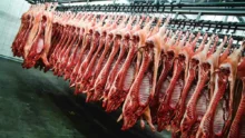 abattoir-viande-porc-embargo-russe-europe-commission-europeenne