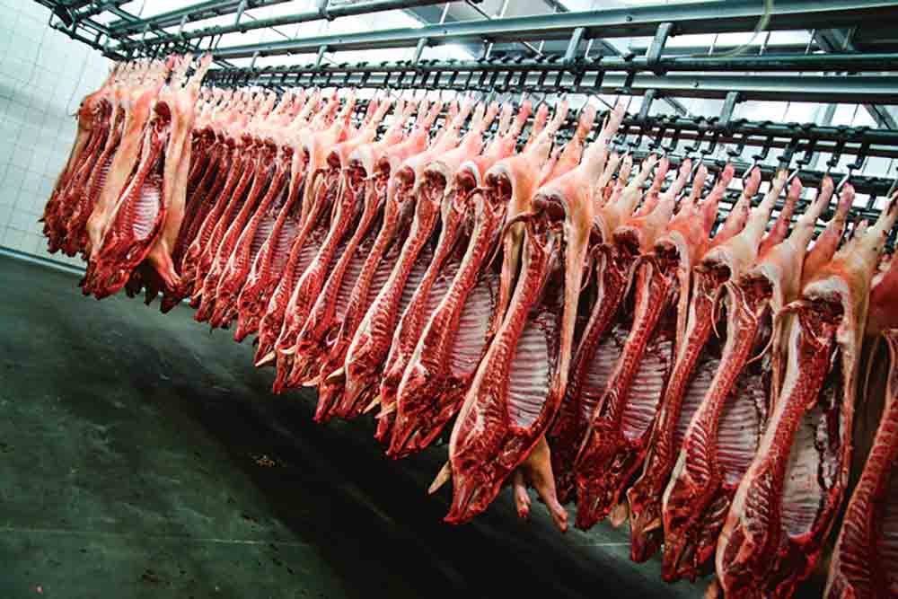 Photo of La viande de porc espagnole entre sur le marché mexicain