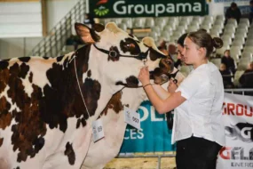 agri-deiz-salon-agriculture-bovin-concours-morlaix-elevage-production-finistere