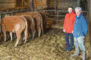 bovin-viande-limousin-alimentation-jean-luc-micout-glen-elleouet-braspart